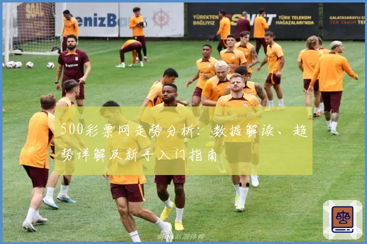 500彩票网走势分析：数据解读、趋势详解及新手入门指南