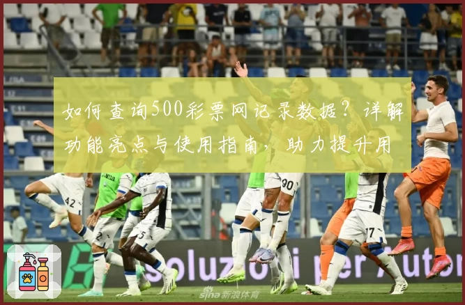 如何查询500彩票网记录数据？详解功能亮点与使用指南，助力提升用户体验