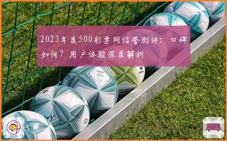 2023年度500彩票网信誉测评：口碑如何？用户体验深度解析