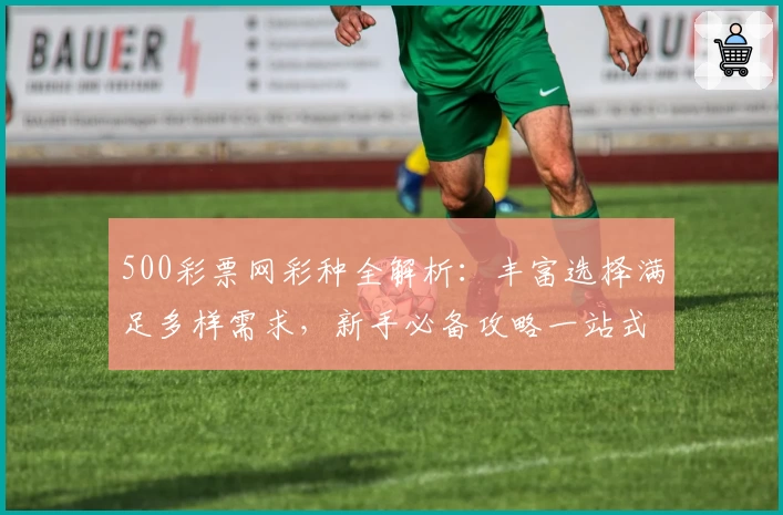 500彩票网彩种全解析：丰富选择满足多样需求，新手必备攻略一站式掌握